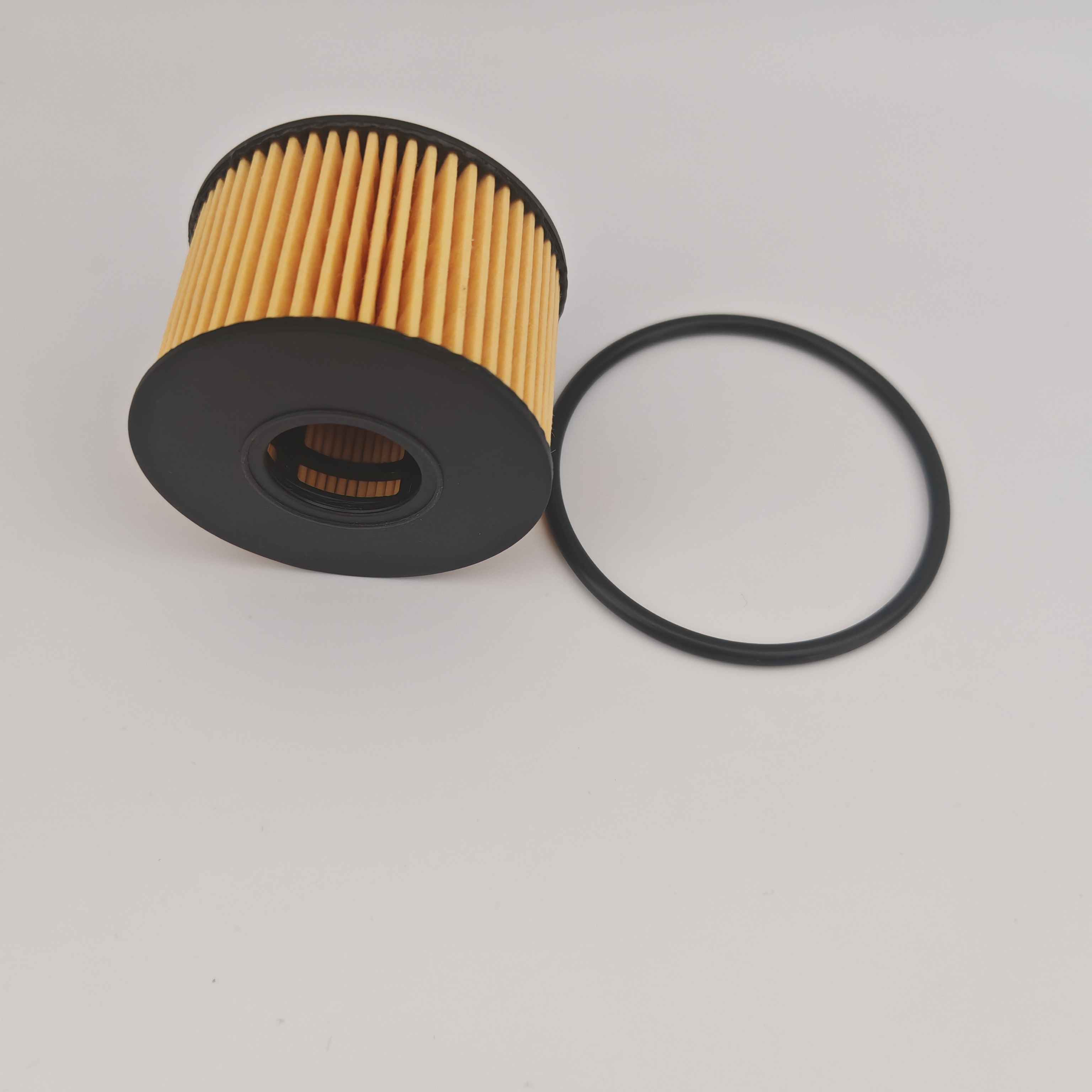 JMC için MS1-6744-AA OX1243D FOH5013 Yağ Filtresi